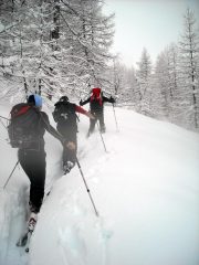 la traccia