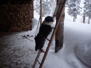 Jolie vuole ancora salire...