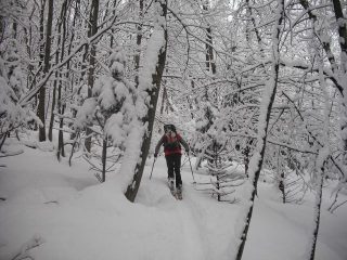 bella traccia, lontano dalle piste! 