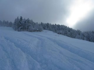 tanta neve!