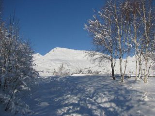 Il Monte Lion, visto dai pressi di N.S. di Palestina
