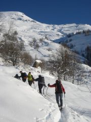 gruppo compatto
