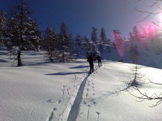solo noi