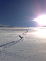 le mie tracce in discesa