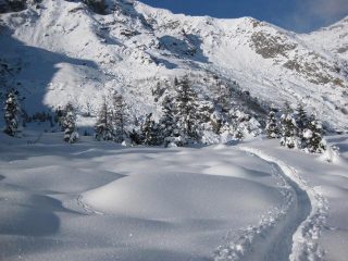 Neve immacolata