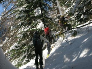 Nel bosco ripido