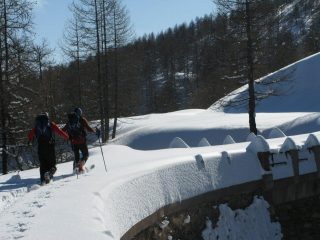 Quanta neve!