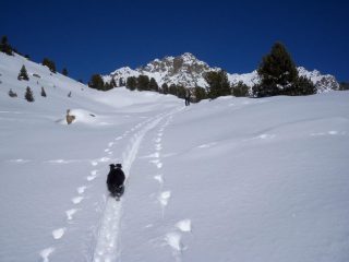 sullo sfondo le Lobbie