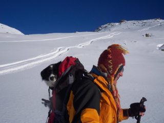 Jloie ha chiesto un passaggio