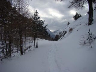 col Vert