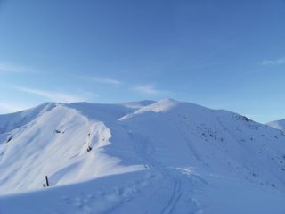 Stamattina