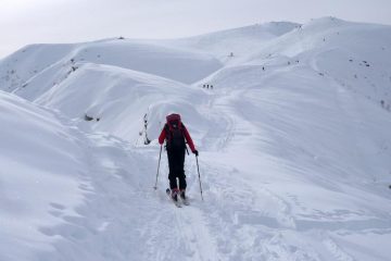 Dopo l'intermedia