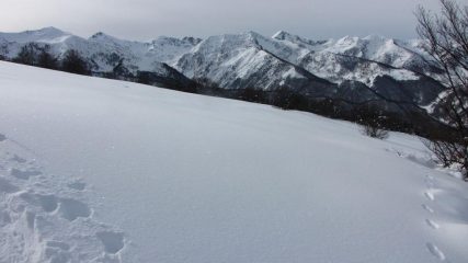 la costiera Pizzo d'Ormea-Mongioie vista dalla quota 1750 m. (16-1-2010)
