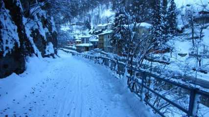 Bossea immersa nella neve (16-1-2010)