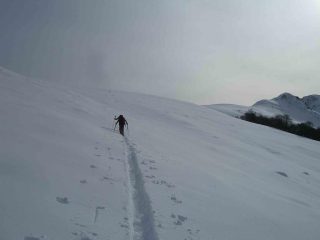 fila davanti (cima sull sfondo)