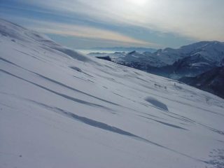 Arrivano le velature