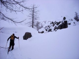 il boschetto sotto l'ultimo dosso per il colle...taaanta neve!