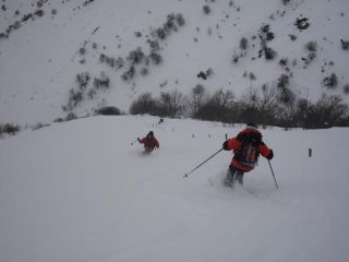 soci scatenati 2