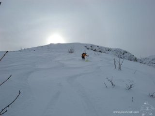 bei tratti di farina