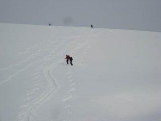 ...che curve