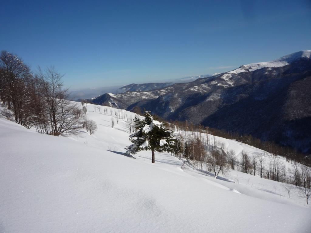 Ampi e vergini pendii