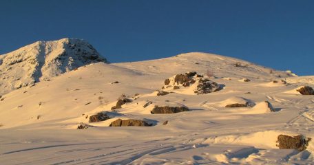 Il tratto terminale