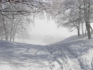 Arrivando a Monterecchio tra sole e nebbia