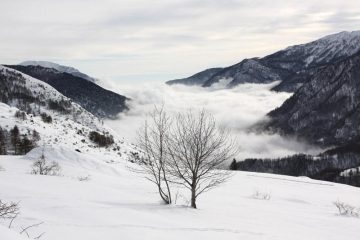 sopra le nebbie