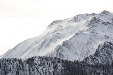 vento