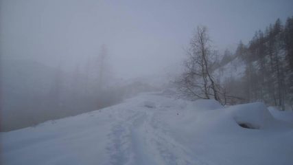 nebbia