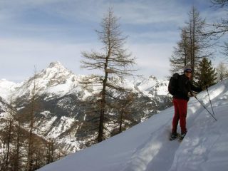 Vista sul Re di Pietra dal bosco