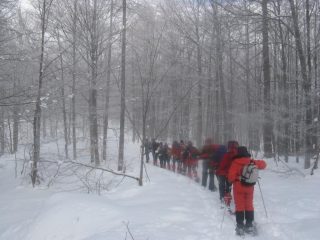La parte iniziale nel bosco