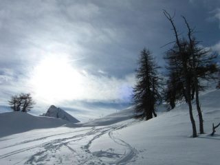 Bella neve....