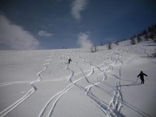 farina 00 anche verso Marmora