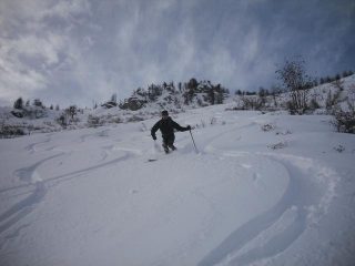 neve profonda e slalom tra radi cespugli