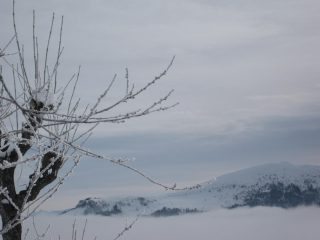 brrr......che freddo tutto gelato