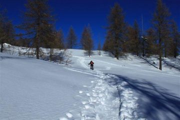 Nel bosco delle Navette