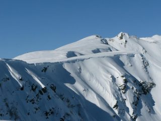 Cornici