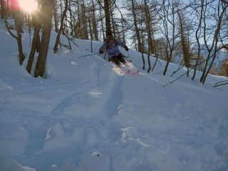 Discesa nel lariceto