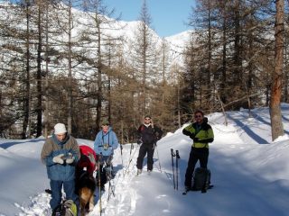In salita nel bosco
