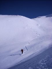 Dani sbiscia come un matto nella farinella! 