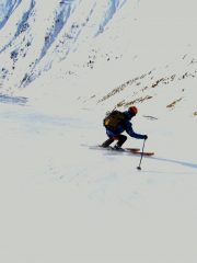 Bum in action