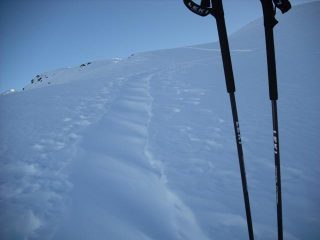 passerella di compressa portante, 30cm di farina fuori!