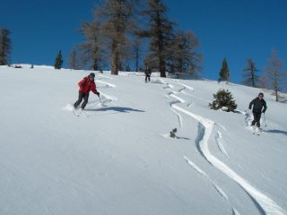 discesa zona alta
