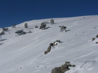 a ovedt del Bric Saiardo