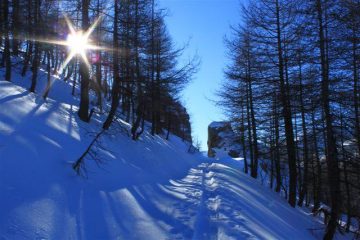 L'intaglio sulla strada