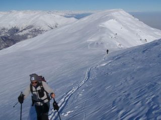 in salita  con testa di cervetto