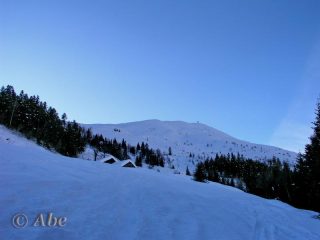 Dosso di salita dall'Alpe Selvaccia