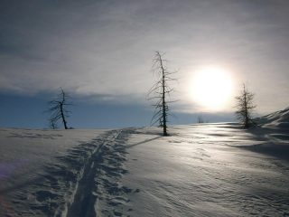 Arrivo sulla dorsale