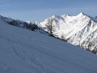 ..appena fuori dal bosco..